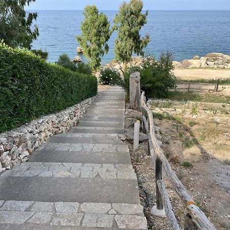 Villa Hibiscus Scopello Scopello  Dış mekan fotoğraf