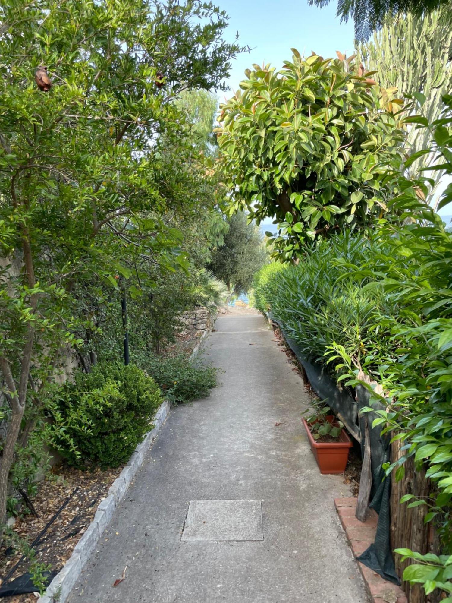 Villa Hibiscus Scopello Scopello  Dış mekan fotoğraf
