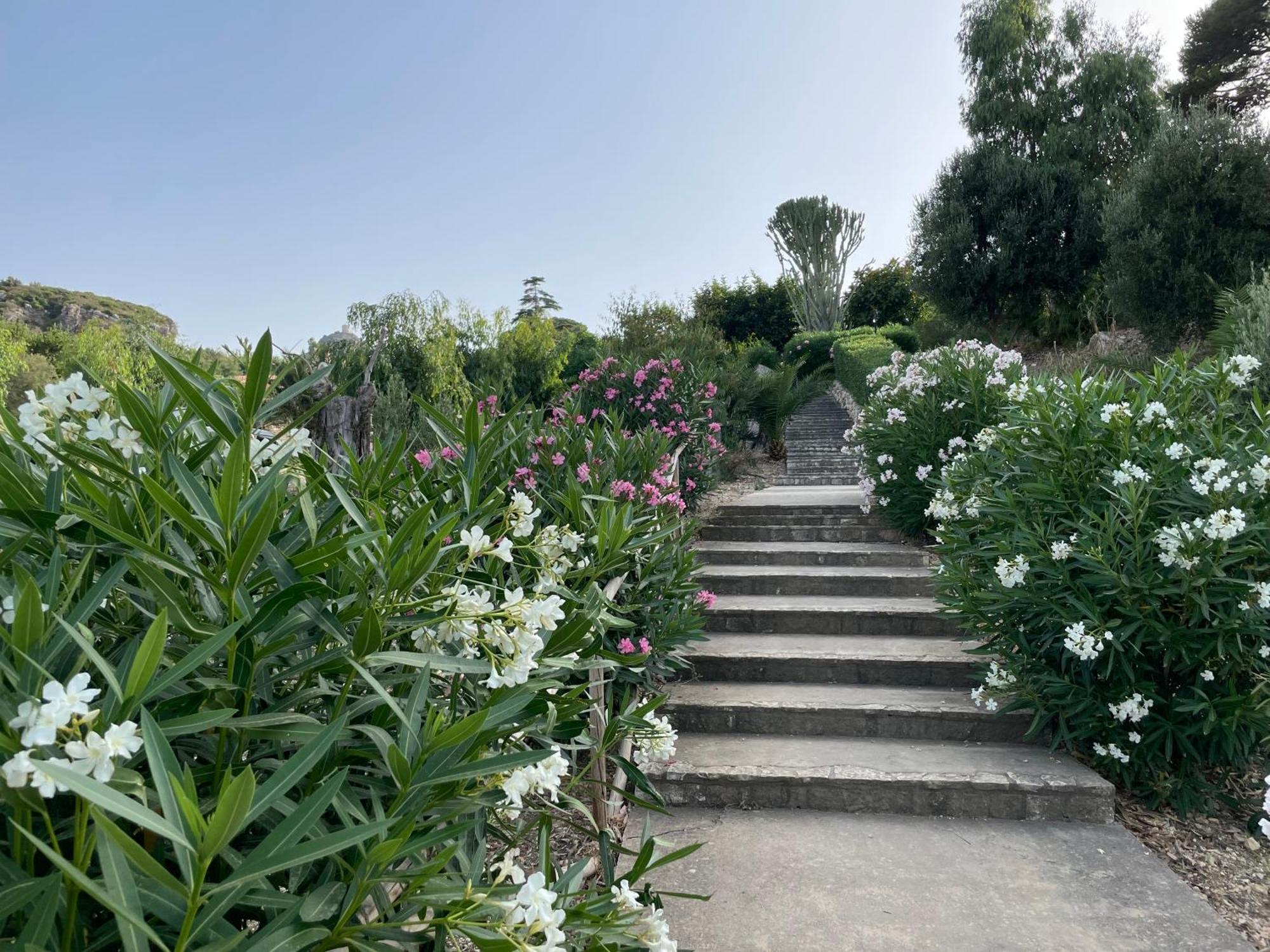 Villa Hibiscus Scopello Scopello  Dış mekan fotoğraf