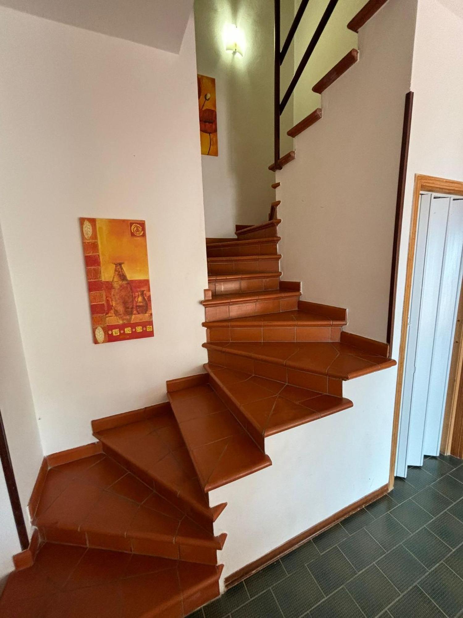Villa Hibiscus Scopello Scopello  Dış mekan fotoğraf